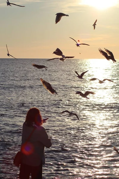 Puesta Sol Sobre Mar — Foto de Stock