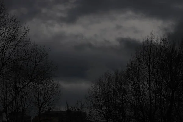 Ramas Árboles Contra Cielo Nublado — Foto de Stock