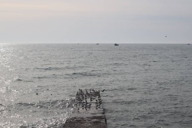 Deniz ve sahil üzerinde gün batımı