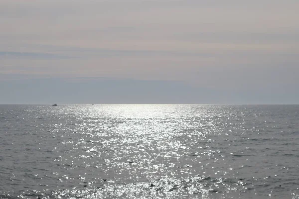 바다와 해변의 — 스톡 사진