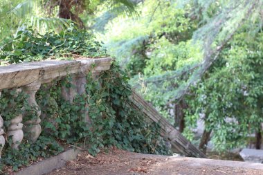 Terk edilmiş eski bir sanatoryum binası.