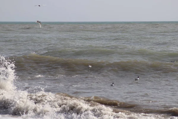 Onde Sulla Spiaggia — Foto Stock