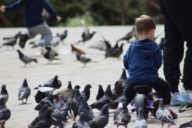Parktaki güvercinler ve çocuklar