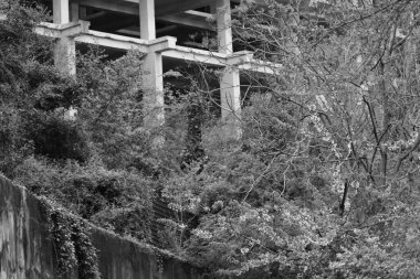 Parktaki bir binanın beton iskeleti