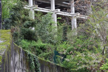 Parktaki bir binanın beton iskeleti