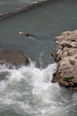 Kayalıklarda dalgalar