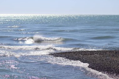 seascape on a summer day