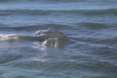 Sahilde dalga kırılıyor.