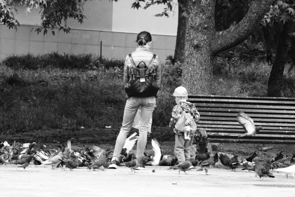 Eine Frau Mit Einem Baby Das Tauben Füttert — Stockfoto
