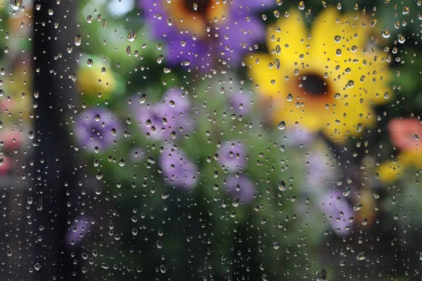 Krople Deszczu Okno — Zdjęcie stockowe