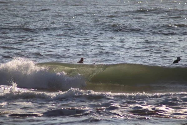 Surfista Praia — Fotografia de Stock