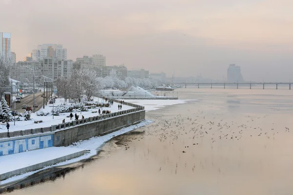 Птицы и набережная Днепропетровска — стоковое фото