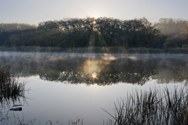 Güneş ışınları