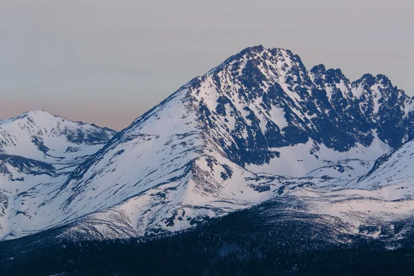 Morning Ridge — Stok fotoğraf