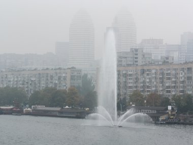Dnepropetrovsk kuğu çeşme