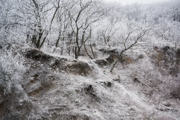 Colina gelada de manhã de inverno III — Fotografia de Stock