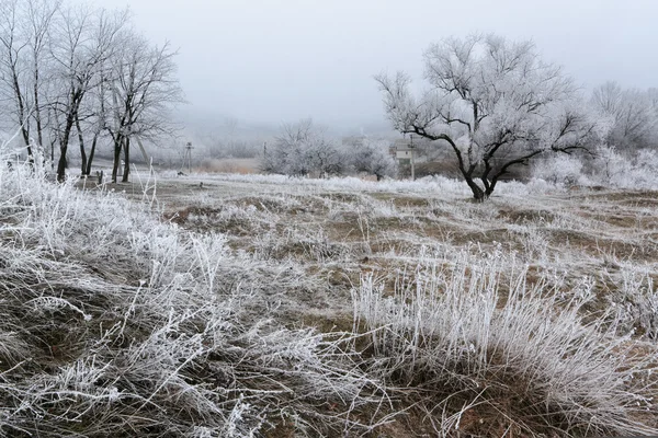 Frosted morning hill IV Royalty Free Stock Images