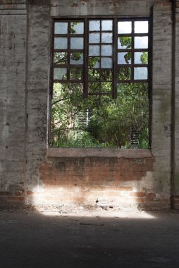 Ventana detereorada por el pasar del tiempo, con vidrios rotos