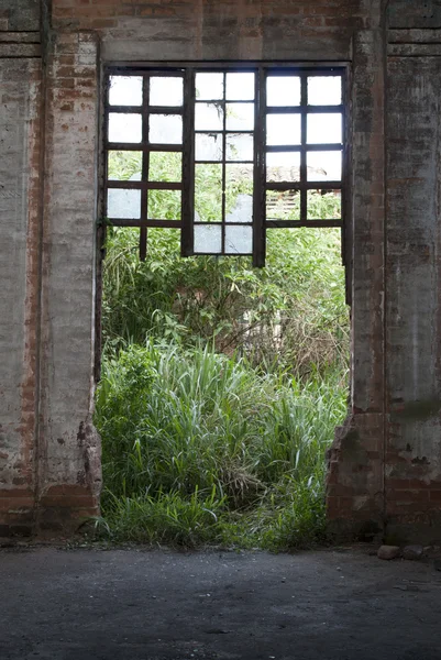 Conuccion abandonné — Photo