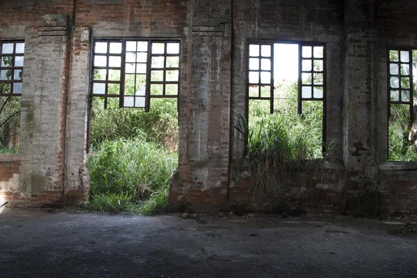 Terk edilmiş contruccion