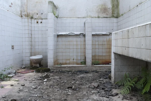 Salles de bains abandonnées Images De Stock Libres De Droits
