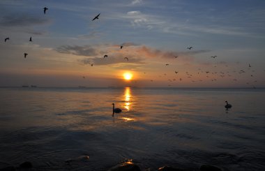 Polonya Baltık Denizi üzerinde gündoğumu