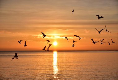 Dalgalarla birlikte denizin renkli gün batımı manzarası