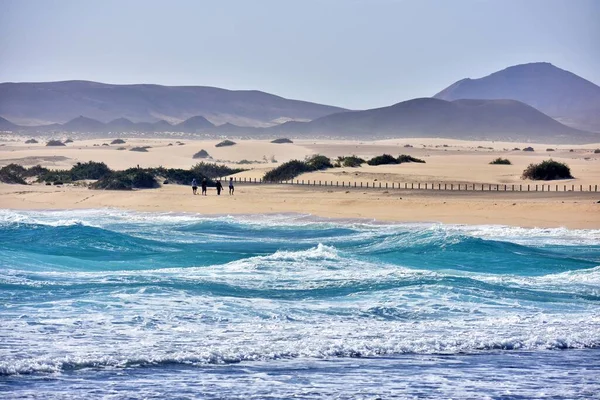 Vista Para Bela Praia Corralejo Ilha Fuerteventura — Fotografia de Stock