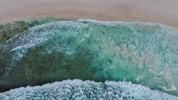 Bela Vista Anse Praia Coco Água Mar Ilha Digue — Fotografia de Stock