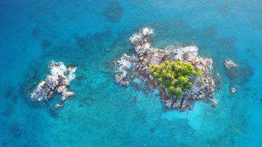 Praslin adasındaki güzel tropikal plaj.