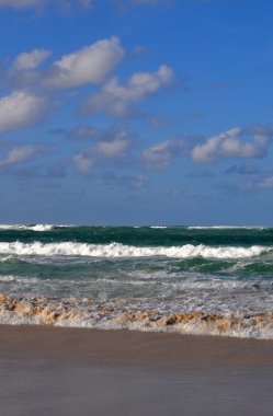 Dominik Cumhuriyeti vacation