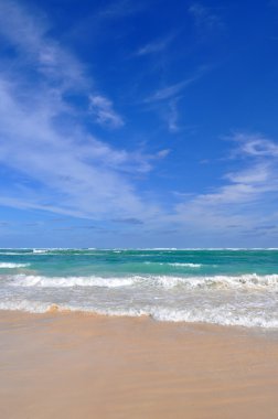 Dominik Cumhuriyeti vacation