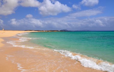 Fuerteventura adada şaşırtıcı Corralejo beach