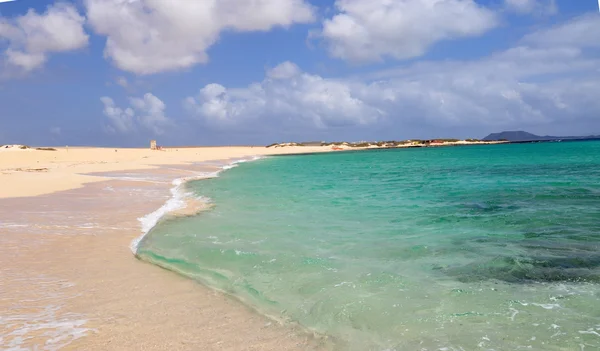 Fuerteventura adada şaşırtıcı Corralejo beach — Stok fotoğraf