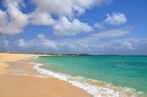 Incredibile spiaggia di Corralejo sull'isola di Fuerteventura Immagini Stock Royalty Free
