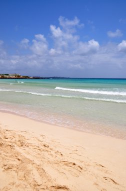 Corralejo Beach