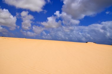 Kum tepeleri üzerinde Fuerteventura