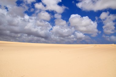 Kum tepeleri üzerinde Fuerteventura