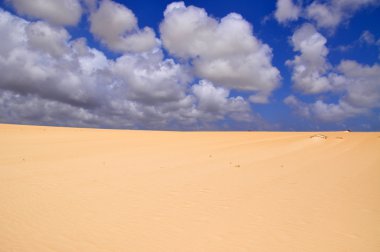 Kum tepeleri üzerinde Fuerteventura