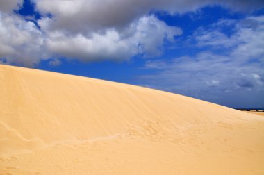Kum tepeleri üzerinde Fuerteventura