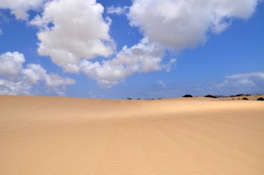 Kum tepeleri üzerinde Fuerteventura