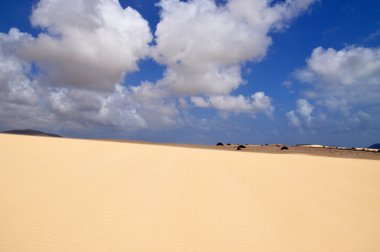 Kum tepeleri üzerinde Fuerteventura