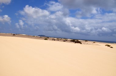Kum tepeleri üzerinde Fuerteventura