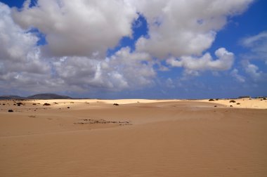 Kum tepeleri üzerinde Fuerteventura