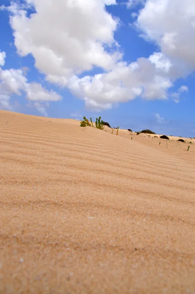 Dunas de arena en Fuerteventura — Foto de Stock