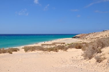 Fuerteventura plaj manzarası