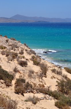 Costa Calma plaj sporları