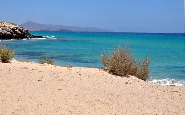 Costa calma strand — Stockfoto