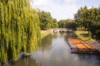 Cambridge görünümü