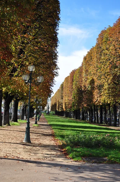 Aurumn en París — Foto de Stock